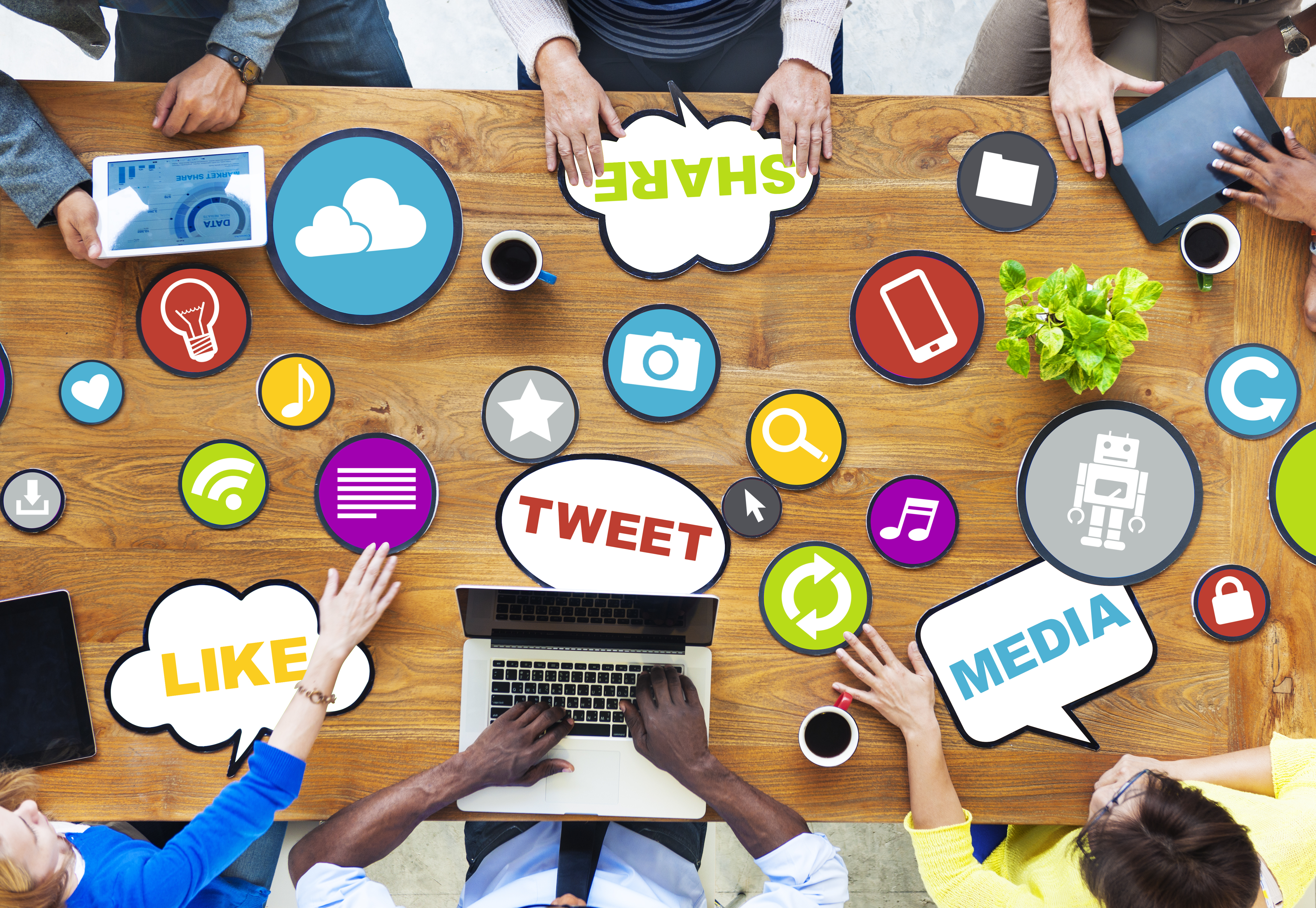 Plant view of table where social media is being discussed